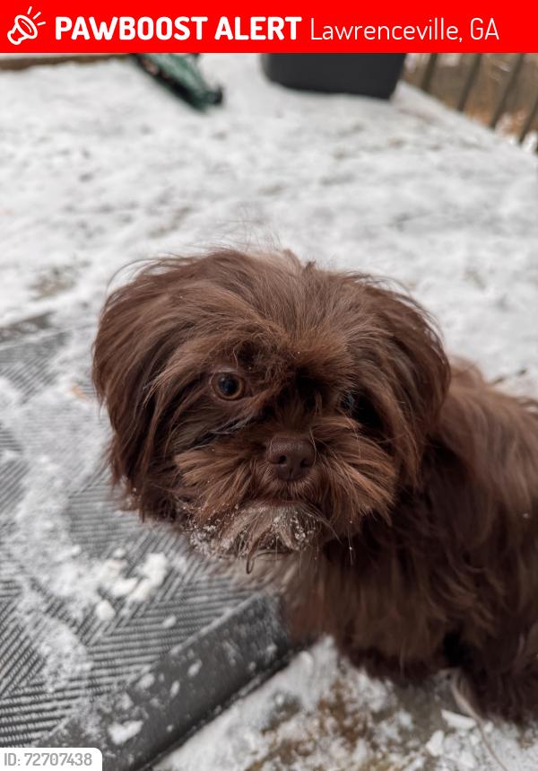 Lost Female Dog last seen Lester road and willow mills , Lawrenceville, GA 30044