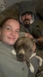 Lost Male Dog last seen Canyon heights Niles Fremont Ca, Fremont, CA 94536