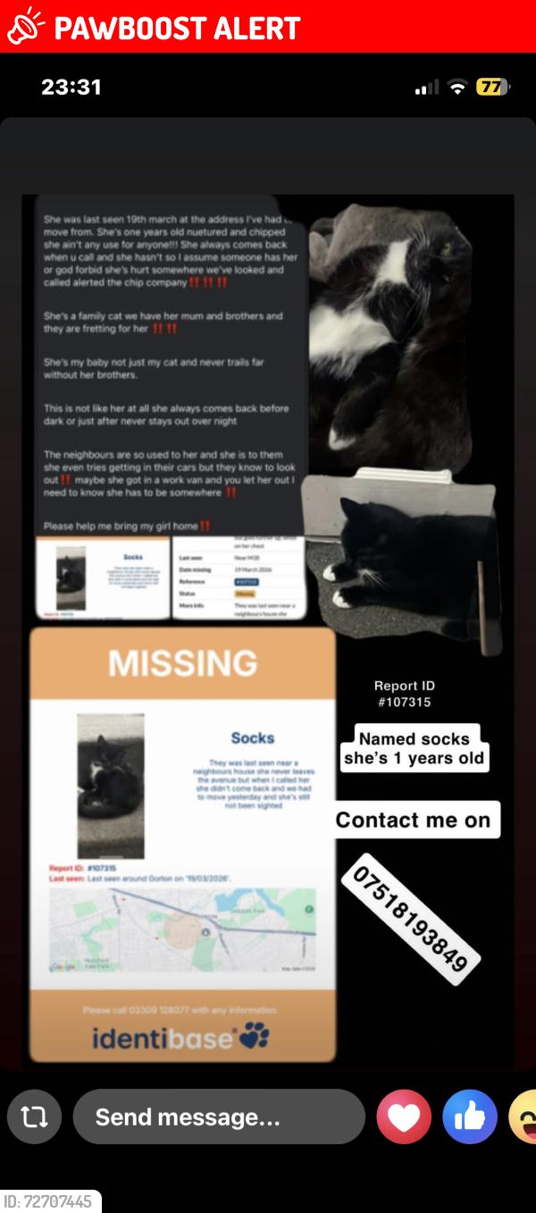 Lost Female Cat last seen Lindeth avenue, just off Ryder brow road, Greater Manchester, England M18