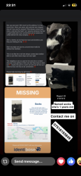 Lost Female Cat last seen Lindeth avenue, just off Ryder brow road, Greater Manchester, England M18