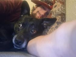 Lost Male Dog last seen Frankford ave between 146 th  thru 154 th, Lubbock, TX 79424