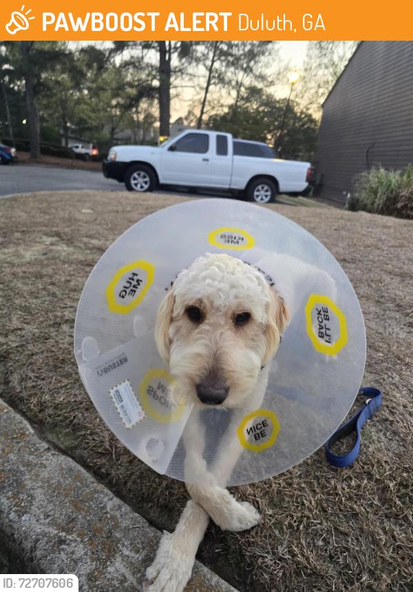 Found/Stray Male Dog last seen Near the falls parkway, Duluth, GA 30096