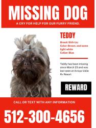 Lost Male Dog last seen Arrolló del valle RV , Cedar Creek, TX 78612