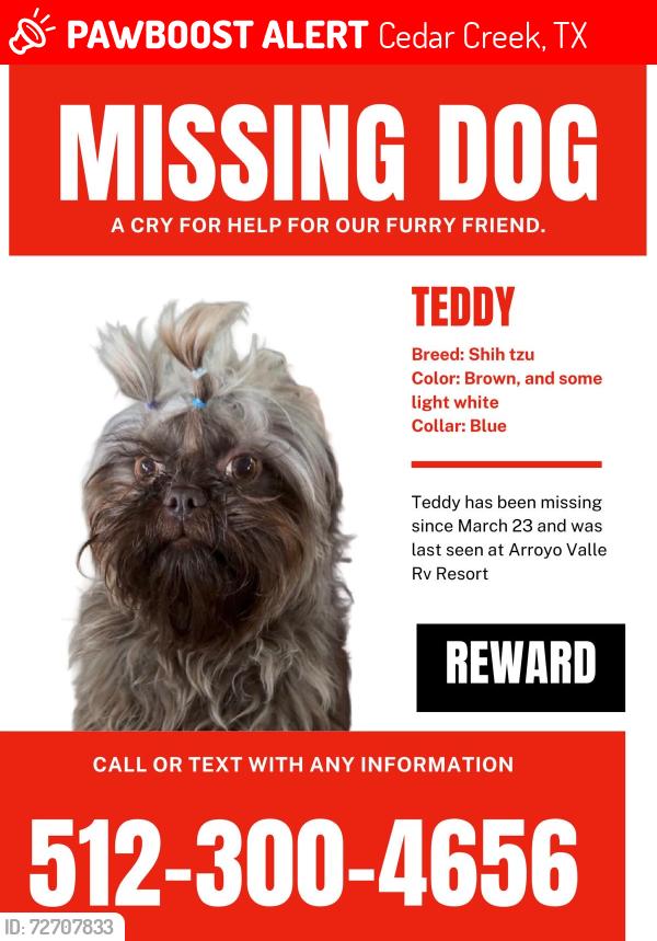 Lost Male Dog last seen Arrolló del valle RV , Cedar Creek, TX 78612