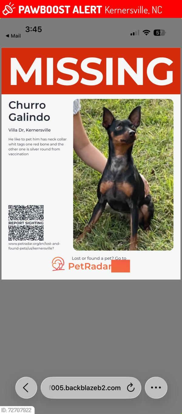 Lost Male Dog last seen Piney grove kernersville middle school, Kernersville, NC 27284