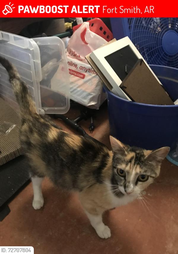 Lost Female Cat last seen Chaffee crossing historic district, Fort Smith, AR 72916