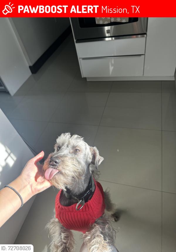 Lost Male Dog last seen Colonia Granada, Mission, Mission, TX 78572