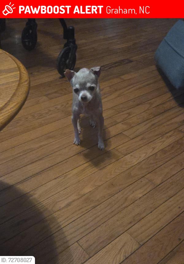 Lost Male Dog last seen Near carter rd Graham nc, Graham, NC 27253