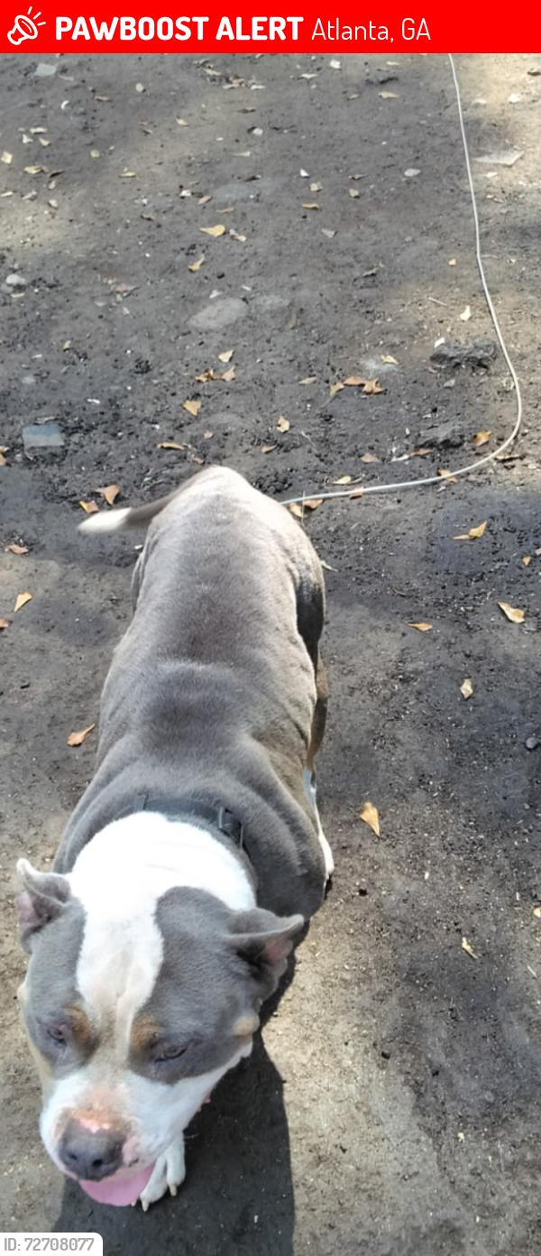 Lost Male Dog last seen Metropolitan parkway SW , Atlanta, GA 30315