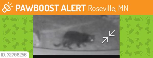 Found/Stray Unknown Cat last seen LOVELL & WESTERN, ROSEVILLE, Roseville, MN 55113
