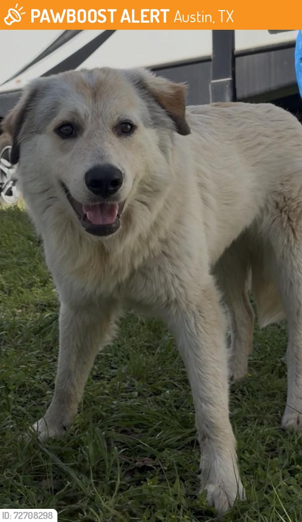 Found/Stray Unknown Dog last seen Yorkshire Dr and Nassau Dr, Austin, TX 78723