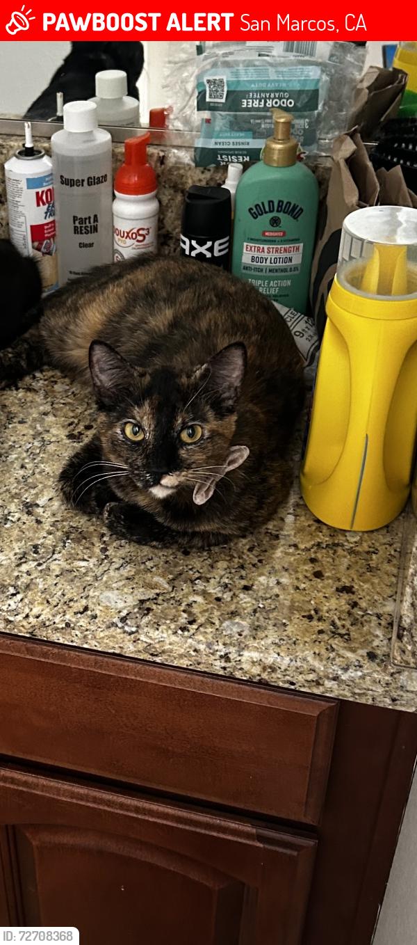 Lost Female Cat last seen Rock Court, San Marcos, CA 92078