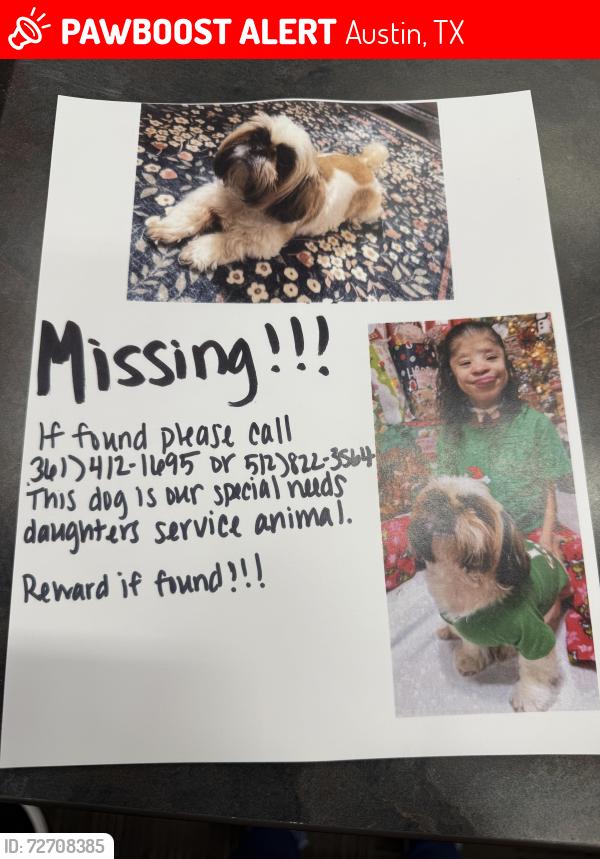 Lost Female Dog last seen Rosewood and webbervile, Austin, TX 78702