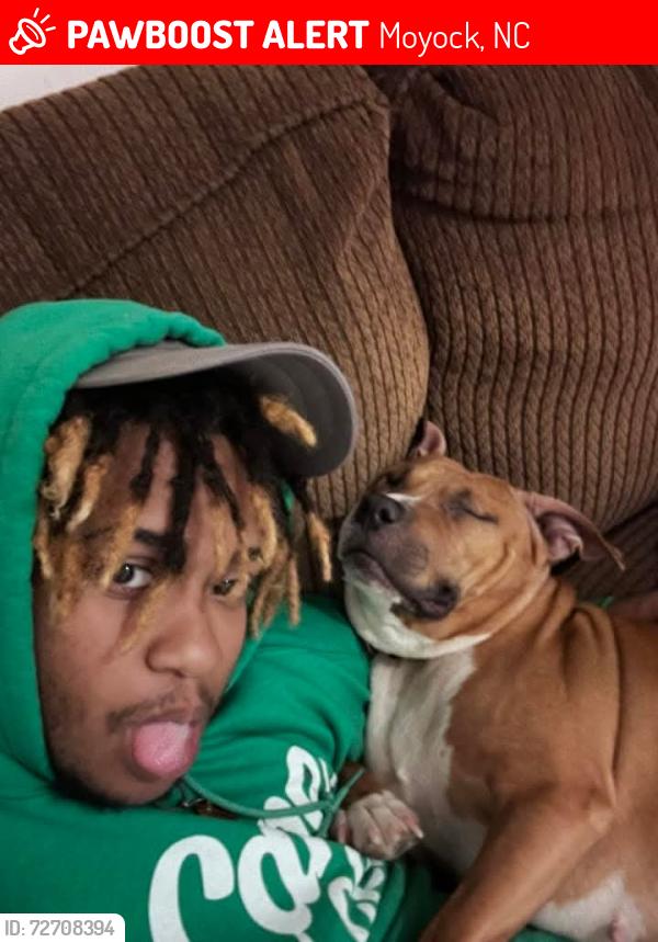 Lost Female Dog last seen Moyock North Carolina , Moyock, NC 27958