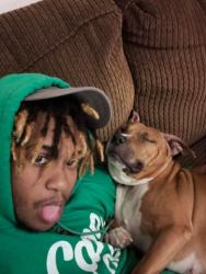 Lost Female Dog last seen Moyock North Carolina , Moyock, NC 27958