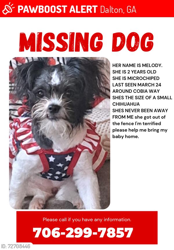 Lost Female Dog last seen Cobia Way/ Boyles Mill Rd , Dalton, GA 30721
