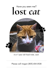 Lost Male Cat last seen Fox creek high school , North Augusta, SC 29860