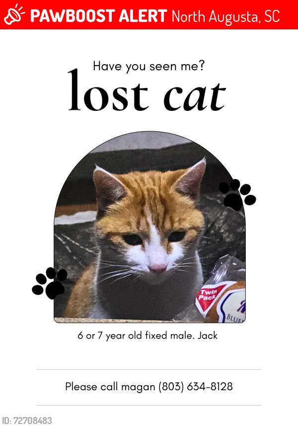 Lost Male Cat last seen Fox creek high school , North Augusta, SC 29860