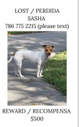 Lost Female Other last seen Us1, Homestead, FL 33032