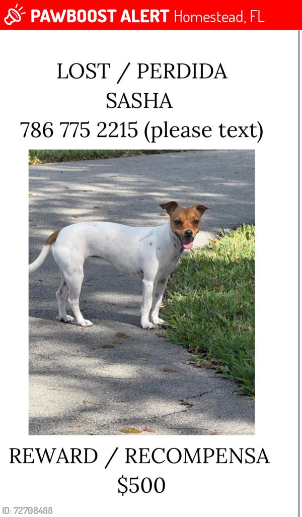 Lost Female Other last seen Us1, Homestead, FL 33032