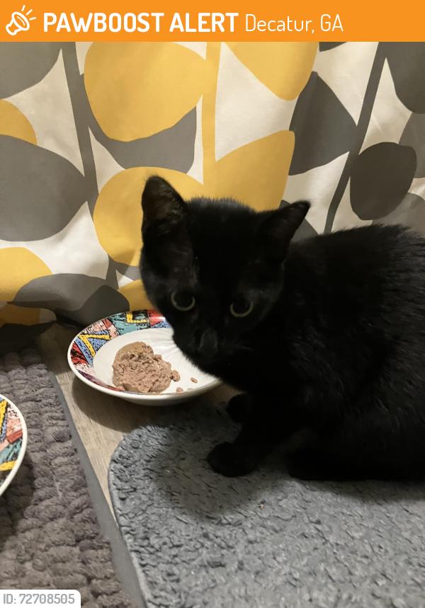 Found/Stray Unknown Cat last seen Dekalb industrial, Decatur, GA 30030