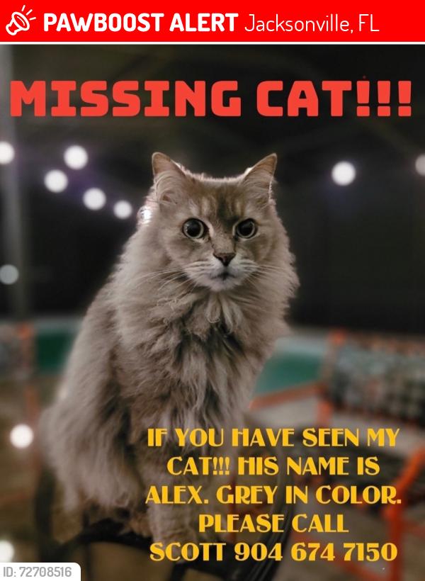 Lost Male Cat last seen Meek rd. 32277, Jacksonville, FL 32277