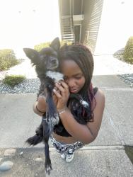 Lost Female Dog last seen Near Shandwick Dr Antelope CA 85843, Antelope, CA 95843
