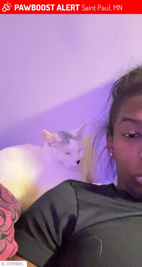 Lost Male Cat last seen Wheeler & van buren , Saint Paul, MN 55104