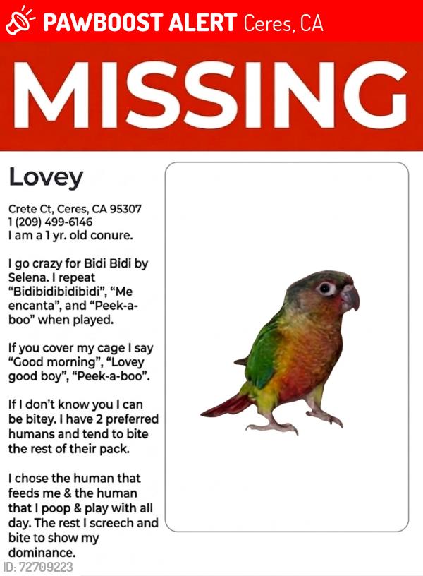 Lost Male Bird last seen Q-liquor store, Ceres, CA 95358
