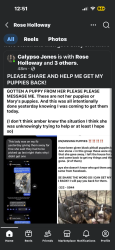 Lost Male Dog last seen Grays creek area, Hope Mills, NC 28348
