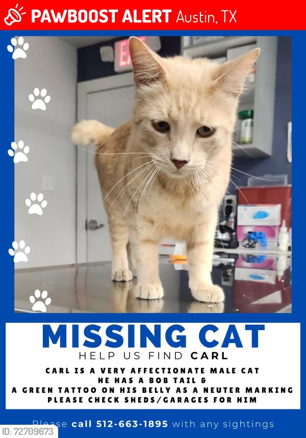 Lost Male Cat last seen Koenig and woodrow, Austin, TX 78756