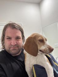 Lost Female Dog last seen Near Blue Hill Ln Fate Texas 75189, Fate, TX 75189