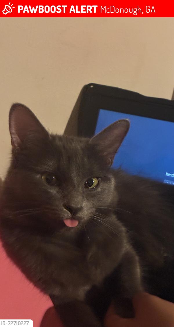 Lost Female Cat last seen Fallview Dr McDonough Georgia , McDonough, GA 30253