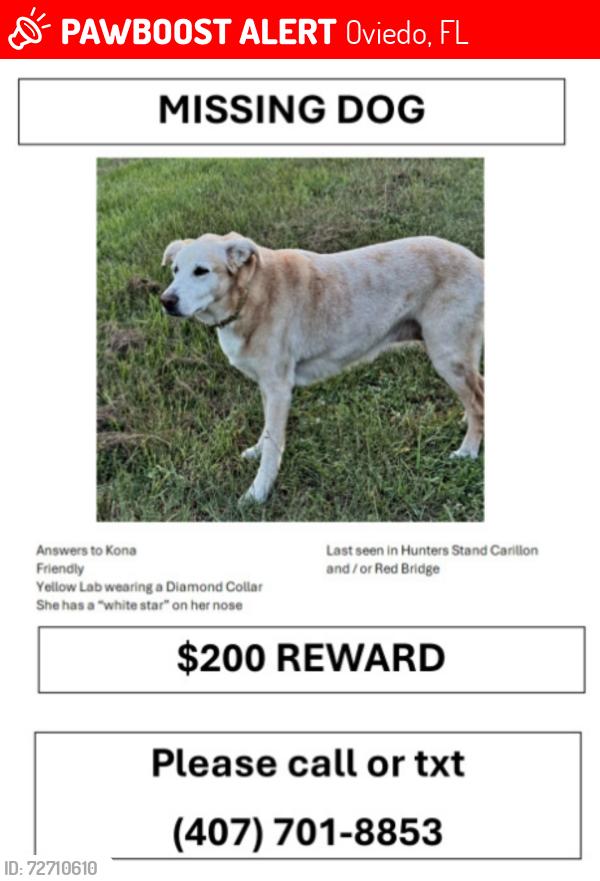 Lost Female Dog last seen Hunters Stand and Red Bridge, Oviedo, FL 32765