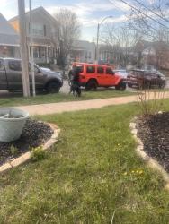 Found/Stray Unknown Dog last seen Hampton, St. Louis, MO 63109
