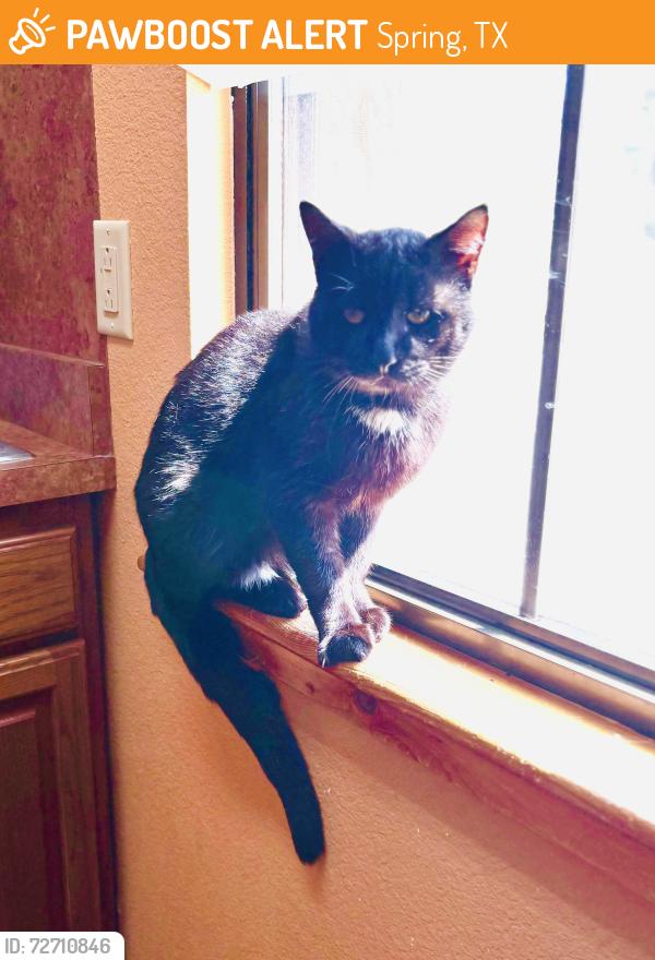 Found/Stray Male Cat last seen Fairfax subdivision , Spring, TX 77373