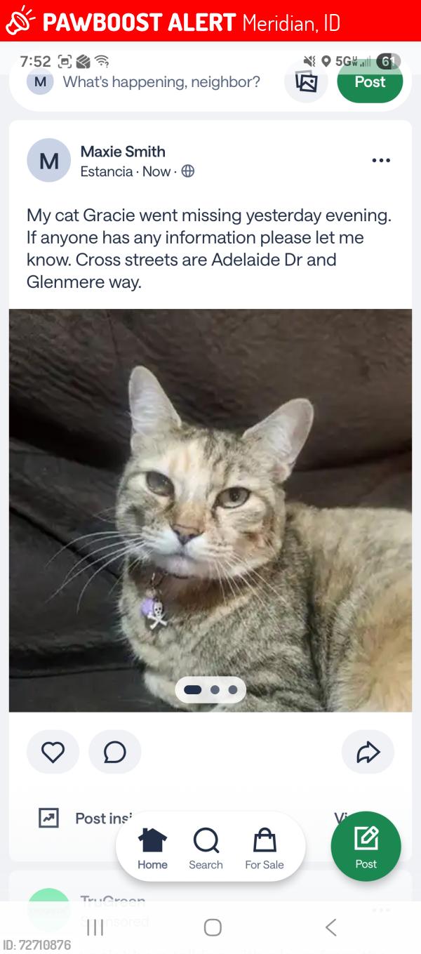 Lost Female Cat last seen Adelaide Dr. And Glenmere way, Meridian, ID 83642