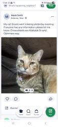 Lost Female Cat last seen Adelaide Dr. And Glenmere way, Meridian, ID 83642