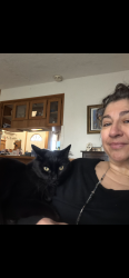 Lost Female Cat last seen NE 114th and San Rafael, Portland, OR 97220