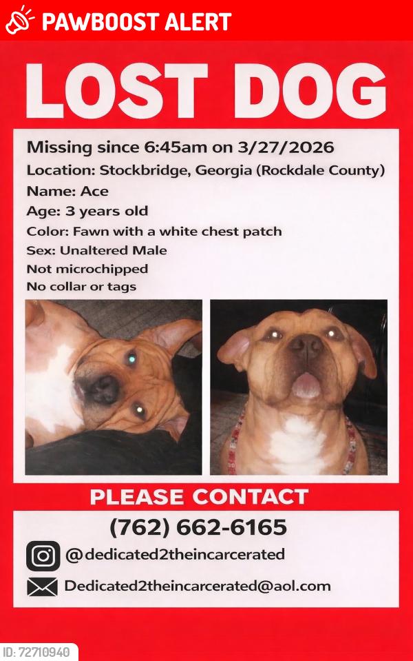 Lost Male Dog last seen Morgan park drive, Rockdale County, GA 30281