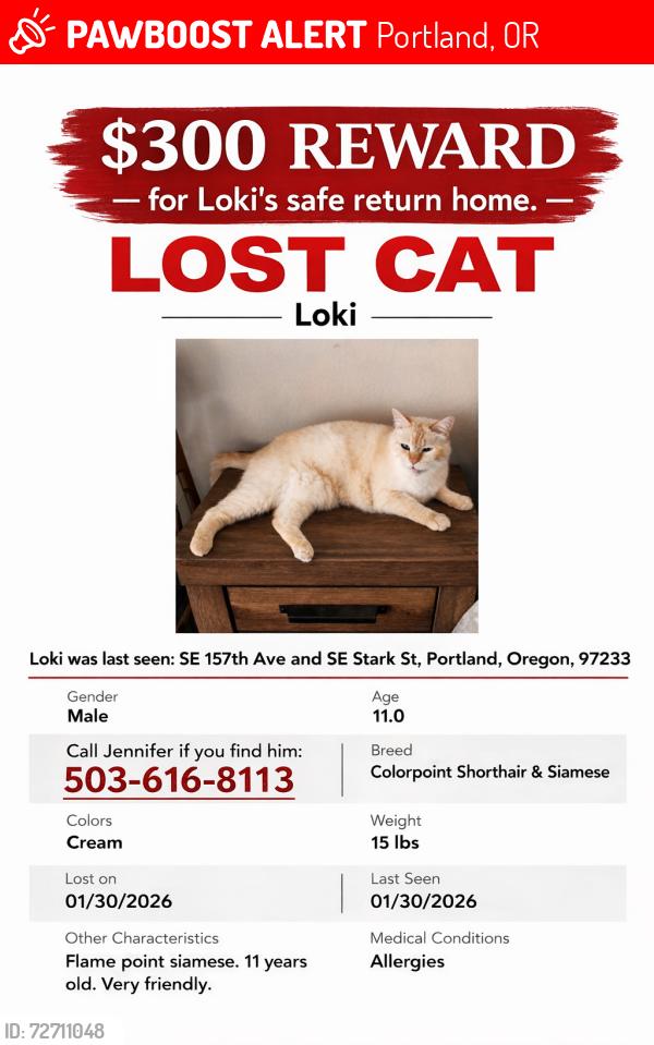 Lost Male Cat last seen Stark , Portland, OR 97236