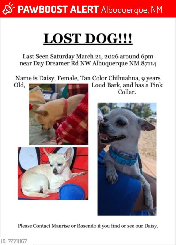 Lost Female Dog last seen Unser Blvd NW and Mc Mahon Blvd NW, Albuquerque, NM 87114