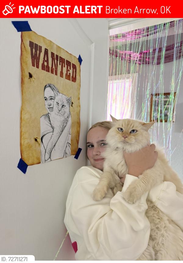 Lost Male Cat last seen BA highschool, Bass Pro , Broken Arrow, OK 74012