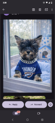 Lost Male Dog last seen Se 51st and high Street , Oklahoma City, OK 73129