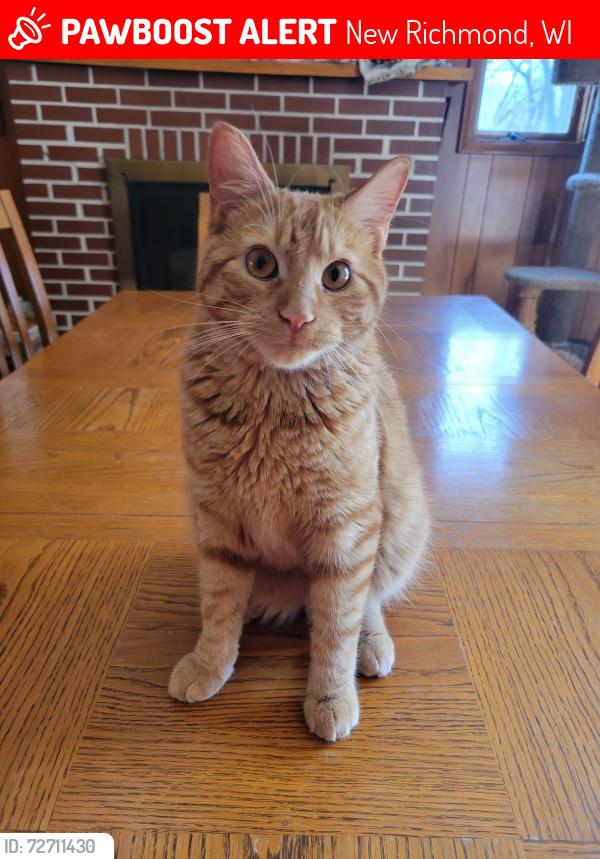 Lost Male Cat last seen Rounds Avenue, down the street from the hockey rink, New Richmond, WI 54017