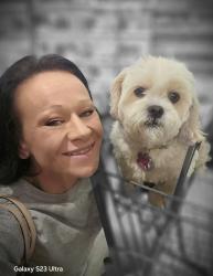 Lost Female Dog last seen Laurel road and laurel hollow rd, Clinton, TN 37716
