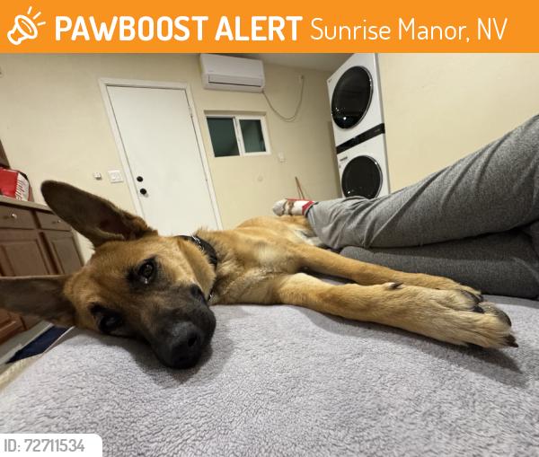 Found/Stray Female Dog last seen E COMMODORE COVER DR, Sunrise Manor, NV 89142