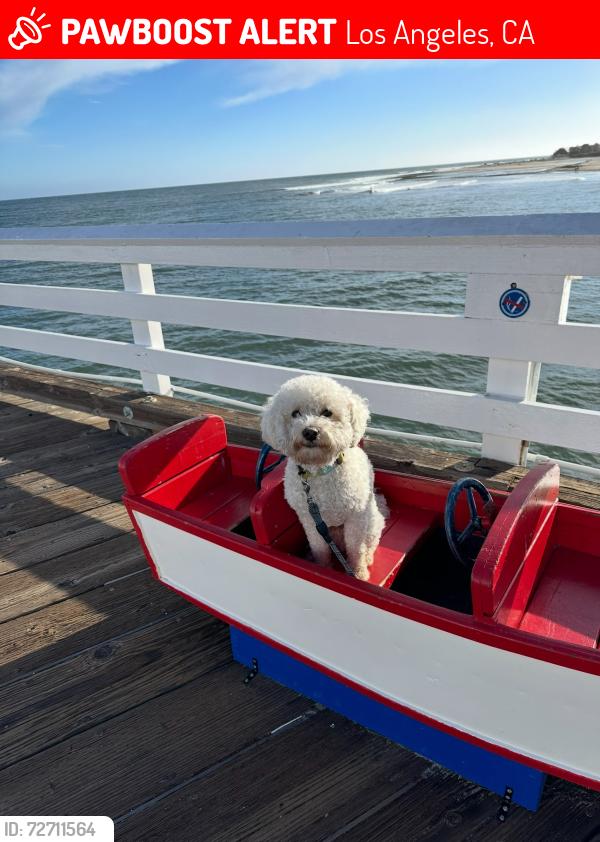 Lost Male Dog last seen Devonshire and Arleta, Los Angeles, CA 91345