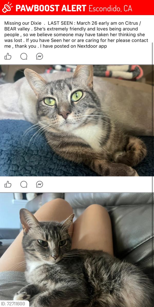 Lost Female Cat last seen Bear valley , Escondido, CA 92027