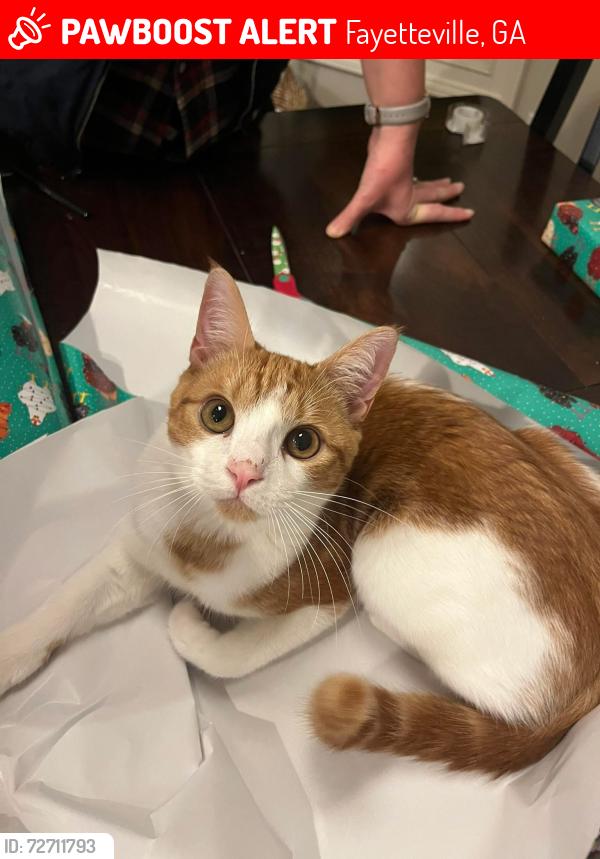 Lost Male Cat last seen Chappell and Old Greenville or Brooks Woolsey Roads, Fayetteville, GA 30215